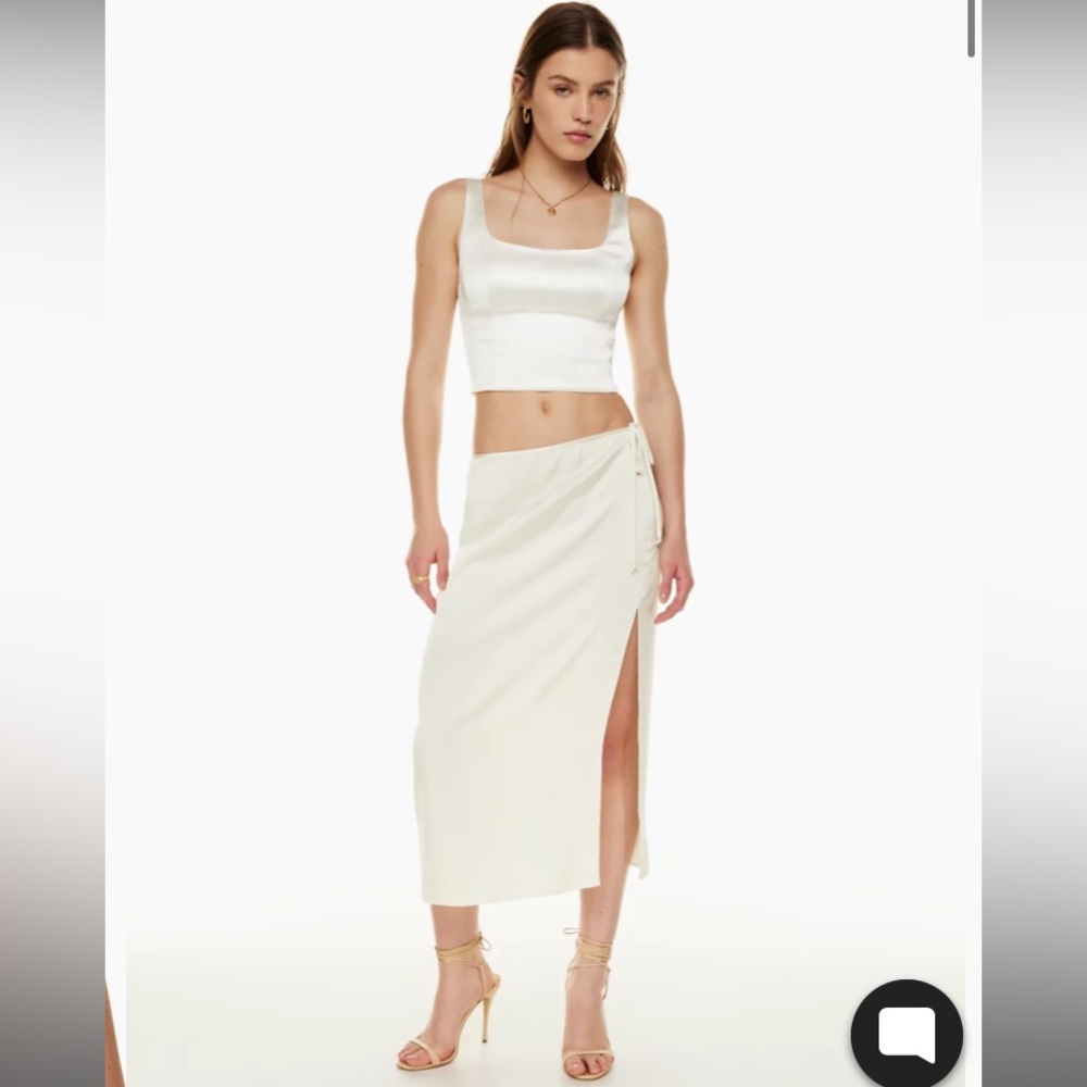 NWT Aritzia Shine Bustier